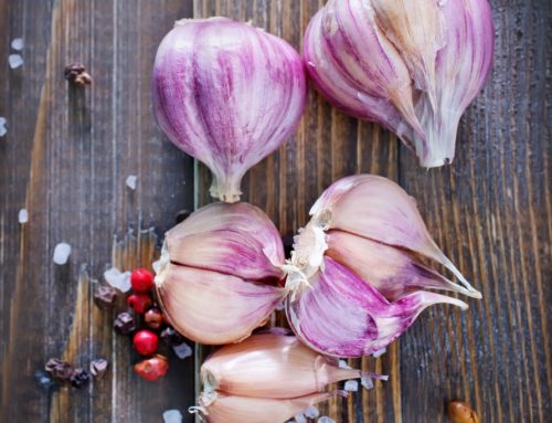 Garlic