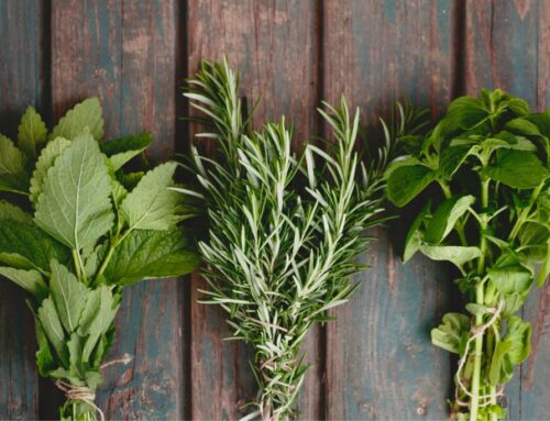 Herbs